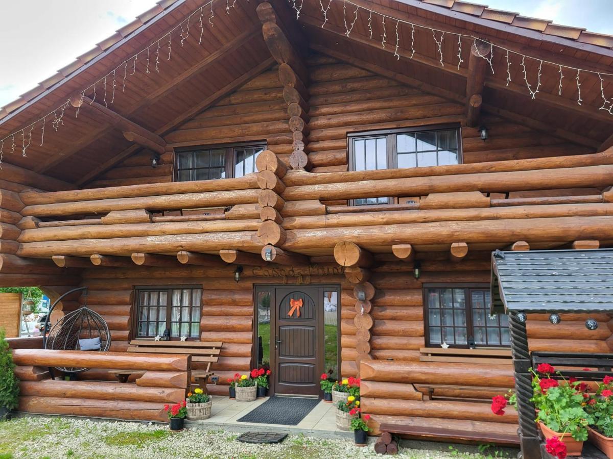 Casa De Munte Villa Ватра Дорней Екстериор снимка