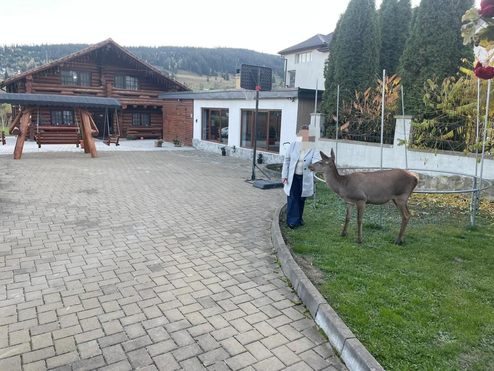 Casa De Munte Villa Ватра Дорней Екстериор снимка